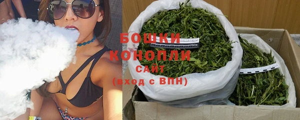 дурь Сосновый Бор