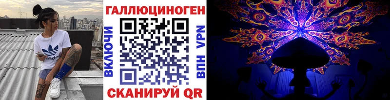 Купить где  Ессентукская  Псилоцибиновые грибы Psilocybine cubensis 