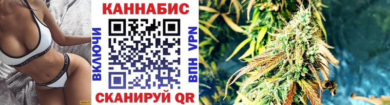 Бошки Шишки сатива Ессентукская